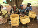 African Shea Butter