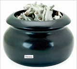 Mugwort Herb for Wild and Vivid Dreams "When the Sun Goes Down"