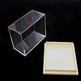 Box: Plastic Collector Box for Stone or Fossels