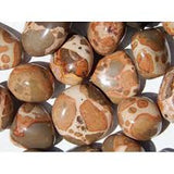 Stone: Leopardite Tumbled. Conflict, Insecurity, Loss of Control
