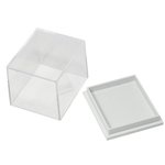 Box: Plastic Small Clear Collector Box.