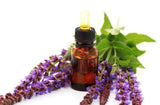 Sage Essential Oil