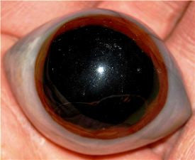 Stone: Third Eye Agate