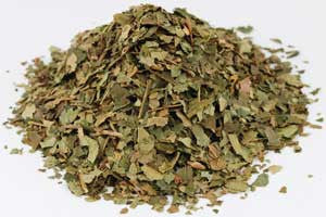 Witch Hazel Herb