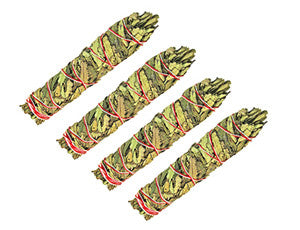 Yerba Santa Sticks (3 pack)