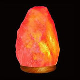 Lamp Cord: Electrical Salt Lamp Cord with Dimmer