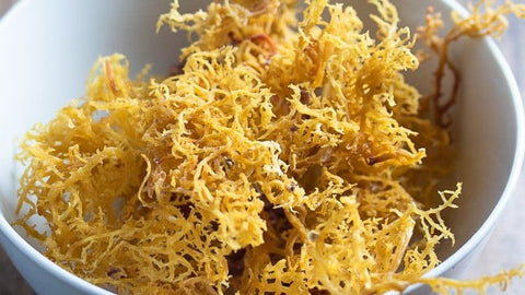 Sea Moss: Wildcrafted and salted. 4 oz.