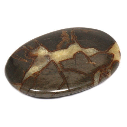 Stone: Septarian Palm Stone